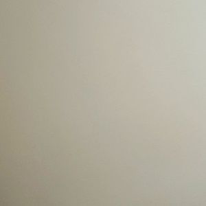 Meet your Posher, Faith